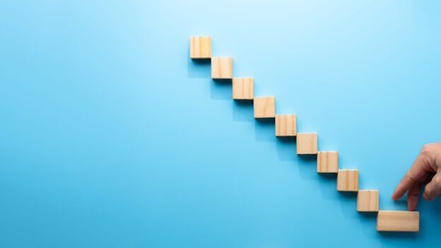 career ladder